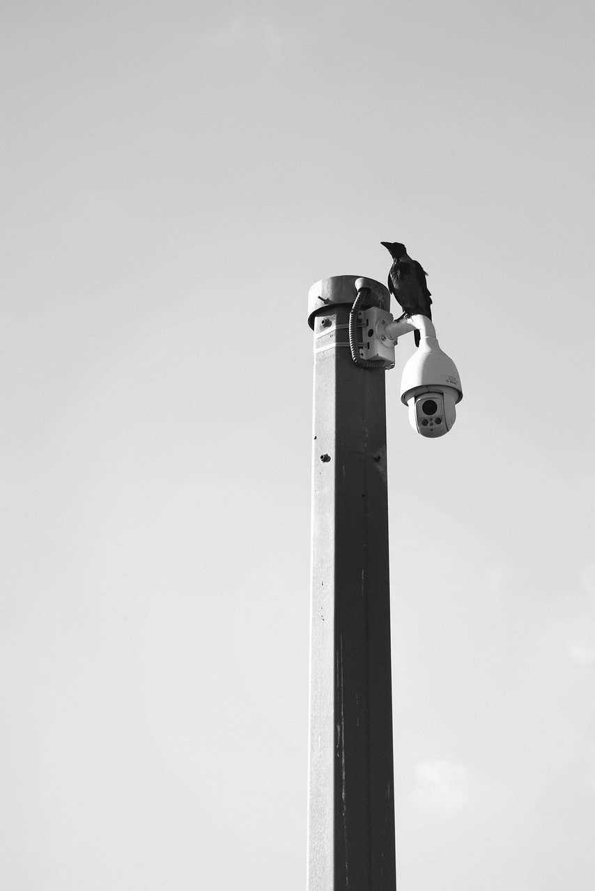 씨씨티비 보관기간