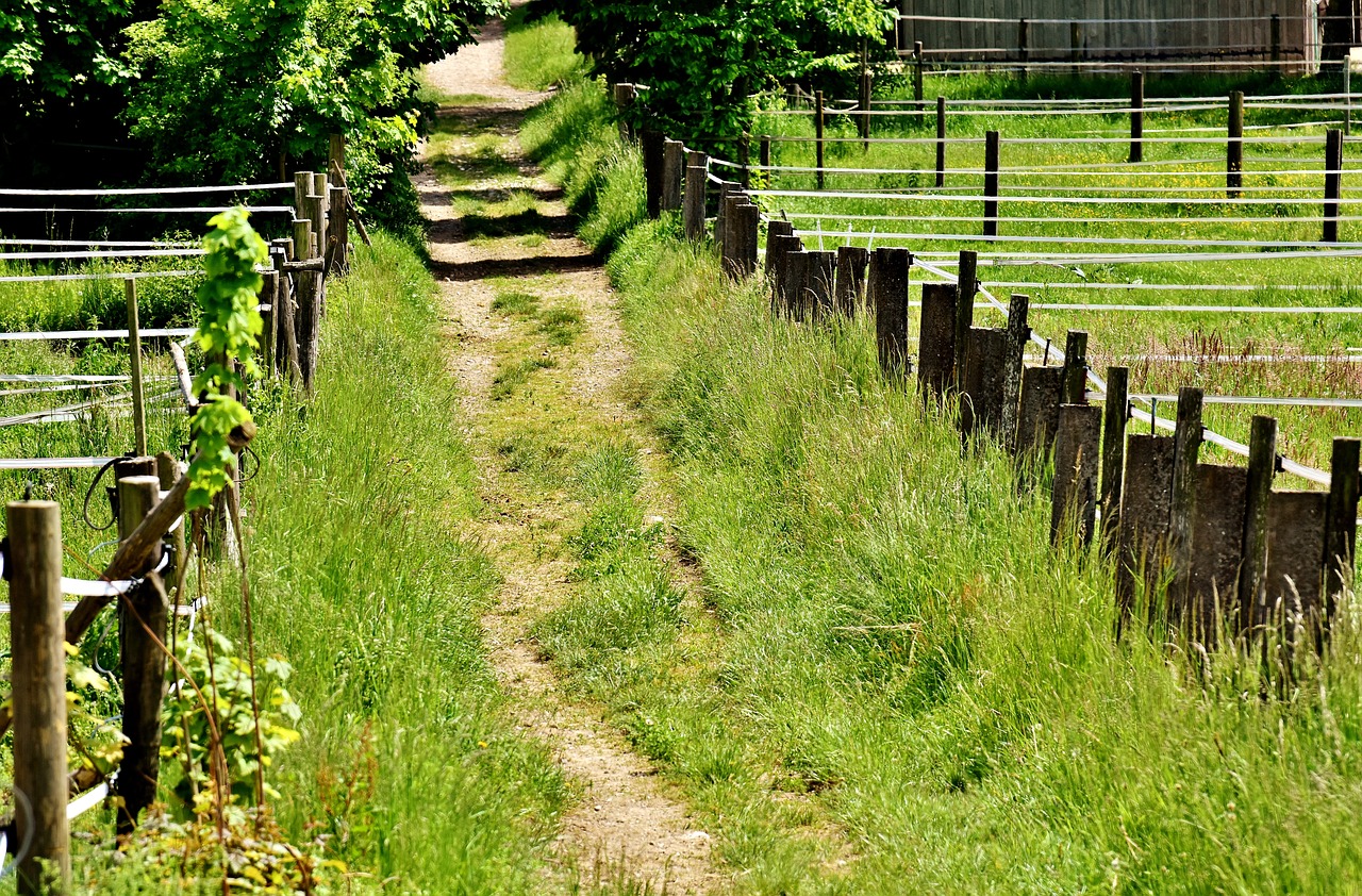 에어팟맥스 페어링 안됨