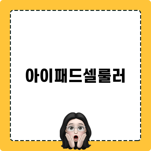 아이패드셀룰러 완벽 가이드