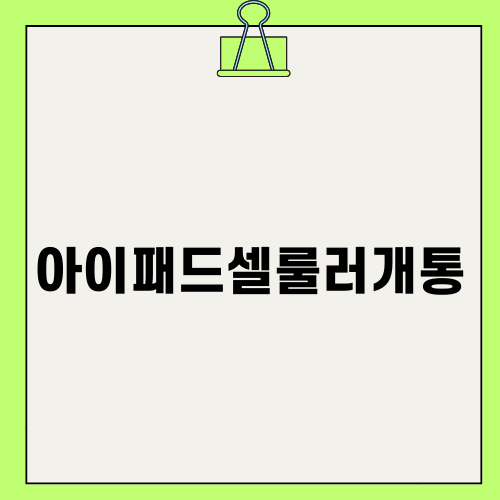 아이패드셀룰러개통의 모든 것