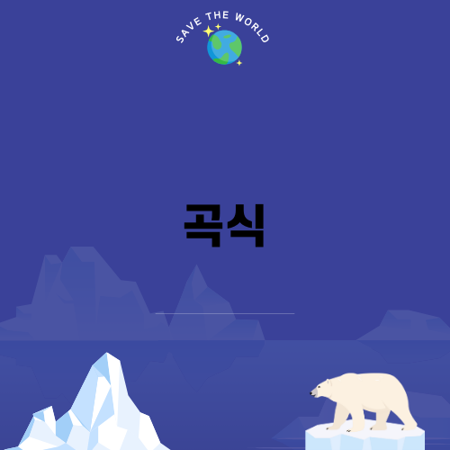 추억의 곡식들 이야기